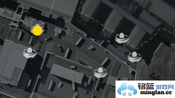 三角洲行动零号坝区鸟类栖息地的重要性与保护措施