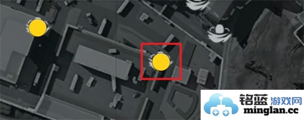 三角洲行动零号坝区鸟类栖息地的重要性与保护措施