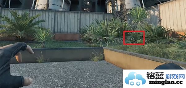 三角洲行动零号坝区鸟类栖息地的重要性与保护措施