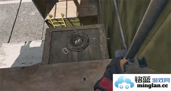 三角洲行动零号坝区鸟类栖息地的重要性与保护措施