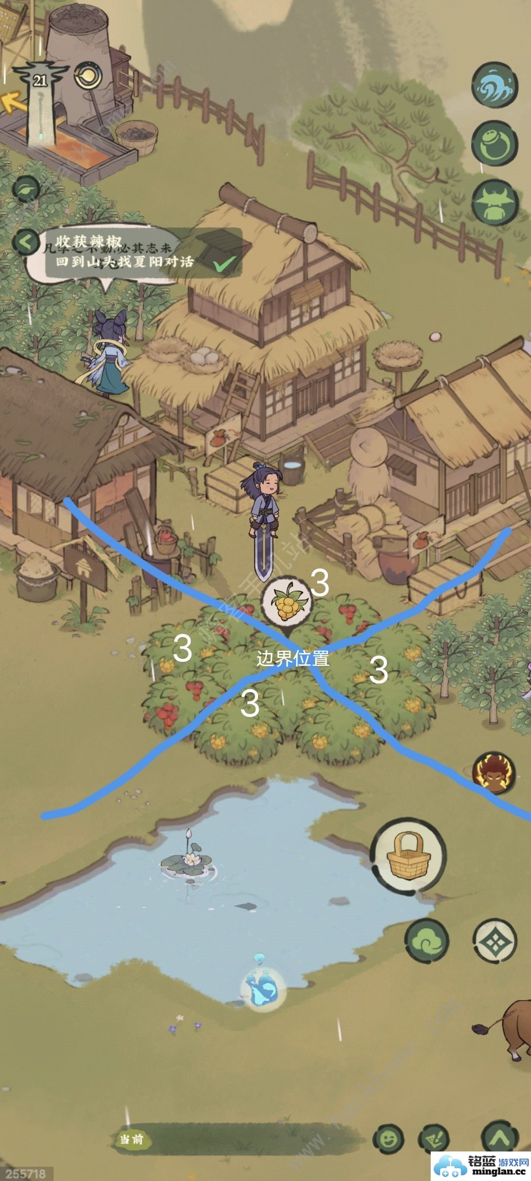 仙山小农果丛布局推荐果丛怎么布局好