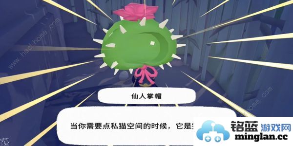 小猫咪大城市仙人掌帽在哪仙人掌帽收集位置攻略