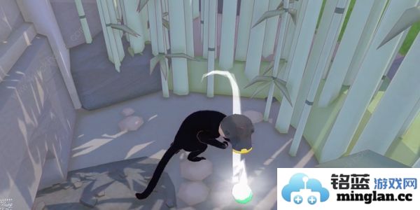 小猫咪大城市仙人掌帽在哪仙人掌帽收集位置攻略