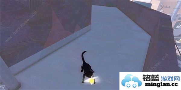 小猫咪大城市向日葵帽在哪向日葵帽收集位置攻略