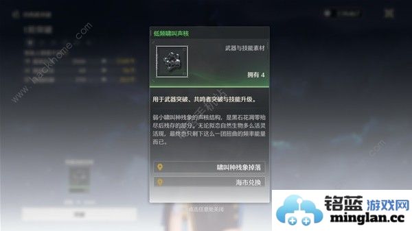 鸣潮四星角色培养哪个好前期四星过渡角色推荐