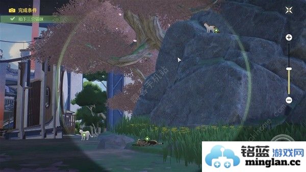 鸣潮拍忆今洲在哪接纪闻任务拍忆今洲触发点及完成详解