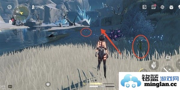 鸣潮傲寒钟采集路线图傲寒钟哪里多