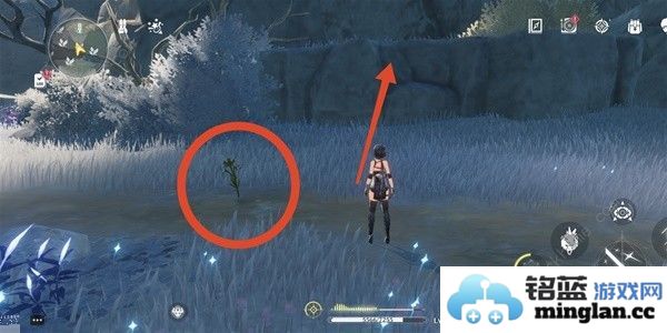 鸣潮傲寒钟采集路线图傲寒钟哪里多