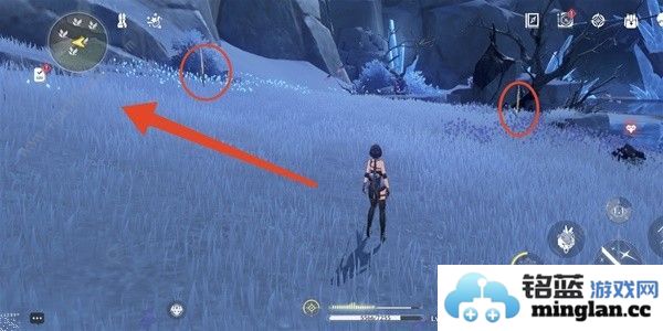 鸣潮傲寒钟采集路线图傲寒钟哪里多