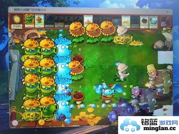 植物大战僵尸杂交版忧郁南瓜头挑战3怎么打忧郁南瓜头挑战3速通攻略