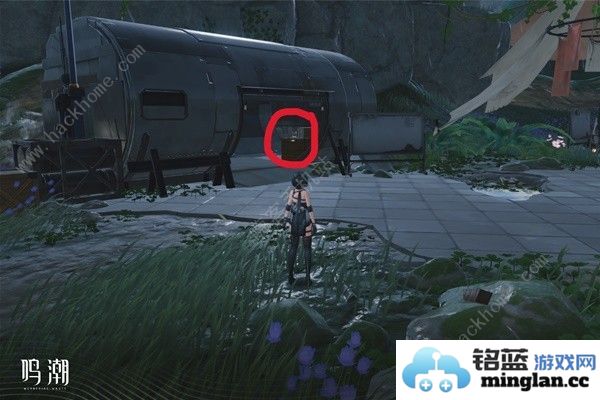 鸣潮无光之森生态调查探索攻略六个无光之森生态调查在哪