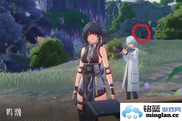 鸣潮无光之森生态调查探索攻略六个无光之森生态调查在哪