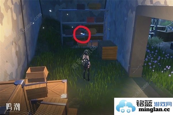 鸣潮无光之森生态调查探索攻略六个无光之森生态调查在哪