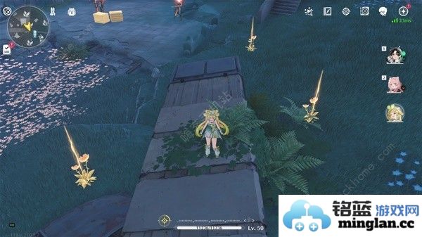 鸣潮妙弋花采集位置路线大全妙弋花高效收集点一览