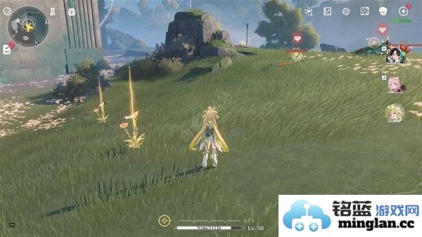 鸣潮妙弋花采集位置路线大全妙弋花高效收集点一览