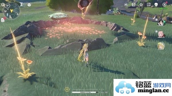 鸣潮妙弋花采集位置路线大全妙弋花高效收集点一览