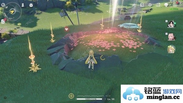 鸣潮妙弋花采集位置路线大全妙弋花高效收集点一览