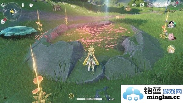 鸣潮妙弋花采集位置路线大全妙弋花高效收集点一览