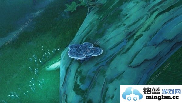 鸣潮云芝采集路线位置大全吟霖突破材料收集图一览